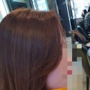 헤어꾸밈(Hair 꾸밈)