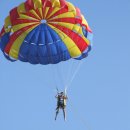 동제농장 | [스크랩] 여행 후기