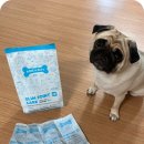 장수동물의료원 | 강아지 다이어트 사료 정상 체중 만들기