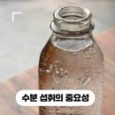 강쌤점핑허브다이어트