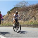 보성강7 이미지