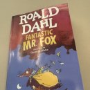 FOX | [35주차 임산부 태교] 쉬운영어원서 (로알드달-Fantastic Mr.fox) 완독 후기