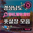 웅상체육공원 풋살장 이미지