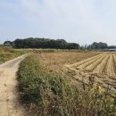 세도면화수리보건진료소 이미지