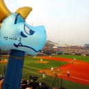 짝때기2 이미지