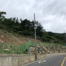 광무동 진남 이미지
