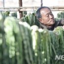 오산농원 영농조합법인 이미지