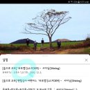 와제주