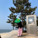 신광장떡볶이순대 | [#07] 대천 여행 갔다 온 썰.ssul