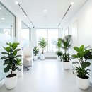 가나치과의원 | 갑자기 치과 갈 일 생겨서 찐텐으로 털어보는 후기