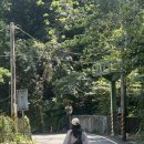 카발통 | 5월 타이베이 2일차 :: 우라이 마을|꼬마열차 후기|우라이폭포|카발란위스키