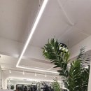 트래몬트짐 PT 이미지