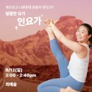 청춘 요가 이미지