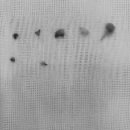 동주동물병원 이미지