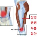 대연 헬스 이미지