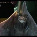 대청도바다수산 - 옹진군 대청로 13 | 대청도바다수산