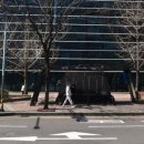 중앙사거리 하나은행 앞 이미지