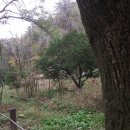 서울대학교 농업생명 과학대학 관악수목원 이미지