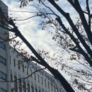 040-4 | 040. 법률사무원 필살기 - 선고 청취 후기