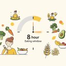간헐적 단식 16:8 방법, 초보자가 실패하지 않는 5가지 꿀팁 이미지