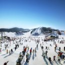 웰리힐리파크 이미지