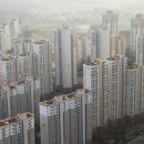 네임펫(Name Pet) 이미지