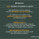 세이전트택스