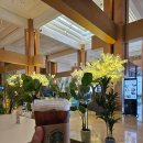 해일카 | 괌 롯데 호텔 수영장 &amp; 라세느 뷔페 솔직 후기, 직접 가보고 느낀 장단점 리뷰