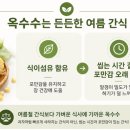웰디렉터