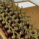 용인대 힘찬 태권도 이미지