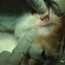 행복이 가득한 터 이미지