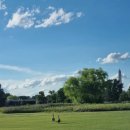 DR골프연습장 | ⛳️ 캐디 없이 자유롭게, 잔디 위를 달린다! 미국 워싱턴 D.C. 자유여행 골프편 | East Potomac 골프장 후기