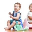 배변의기술 이미지