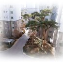 답십리 백화점약국 이미지