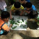 숲소리어린이집 이미지