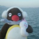 런치(Runch) 이미지