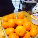 호호게스트 이미지