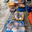 만남식당 | 삼척 만남의식당 곰치국 대구탕 내돈내산 후기
