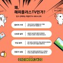 해피플러스여행사
