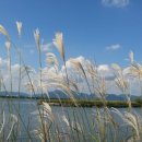 삼락생태공원 이미지