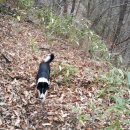 함양동물병원 이미지