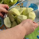 삼정참펜션 | 충북 괴산 새들펜션 쌍곡계곡 평상 예약, 이용, 추천 솔직 후기