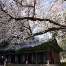 제주 삼성혈 이미지