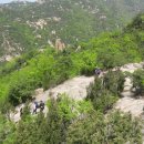 밤나무길 이미지