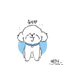 슈리네 이미지