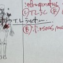 에이치와이에이치 이미지