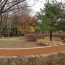 상도근린공원(상도동 531-15)