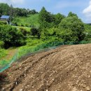 청안면사무소 이미지