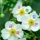 부광부동산공인중개사사무소 이미지