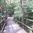 구룡폭포길 이미지